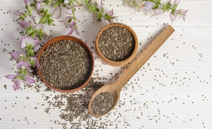 Various ways to use Chia Seeds 