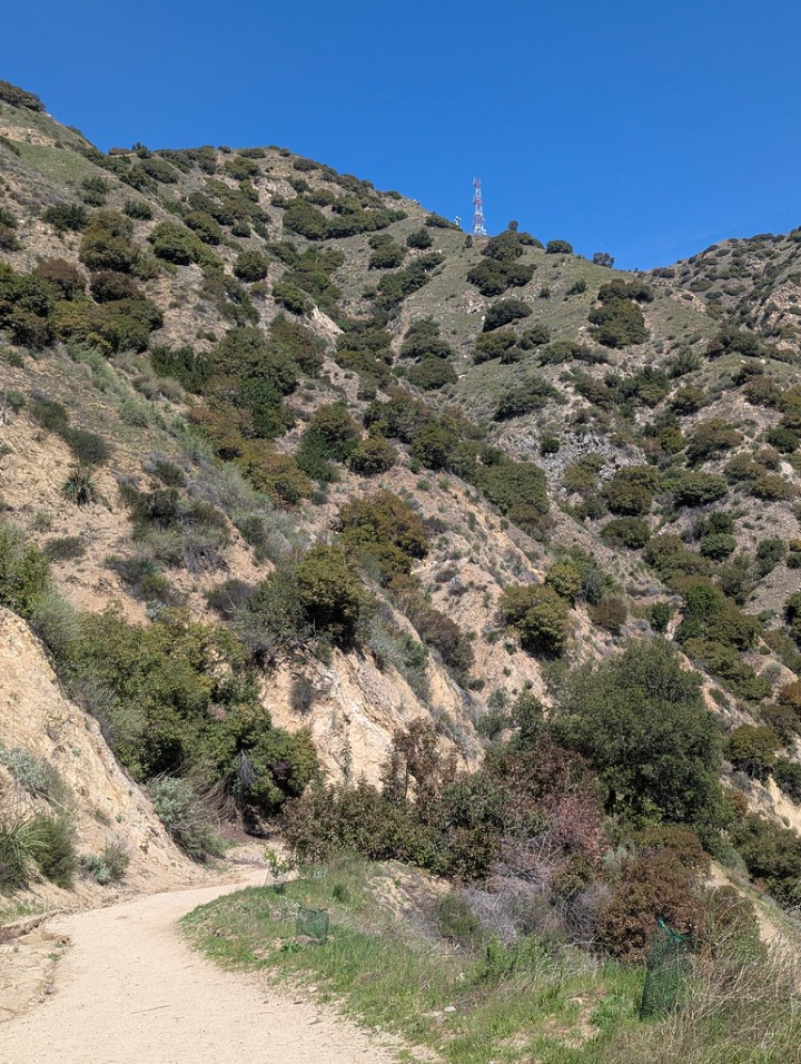 Dirt hiking trail at Wildwood Canyon in Burbank